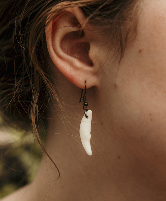 Coyote Fang Earrings